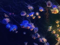 -南京金牛湖风景区