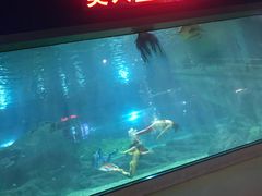 -福州罗源湾海洋世界旅游区