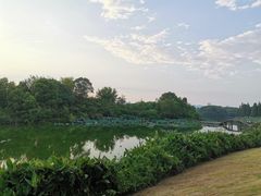 -艾溪湖湿地公园