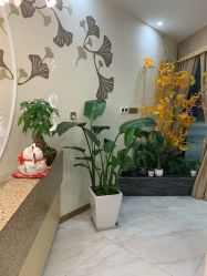 点击看大图 -芳朵美容养生SPA