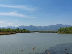 -野鸭湖国家湿地公园