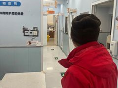 -纳吉亚猫专科动物诊疗中心(蒋宅口分院)