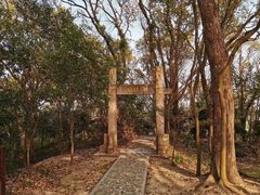 -上海佘山国家森林公园天马山园