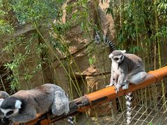 -北京野生动物园