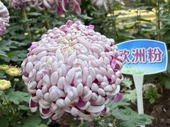 -汇龙潭