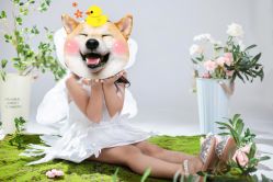 -小熊维尼高端儿童摄影(宝安旗舰店)