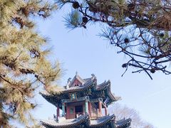 -晋祠公园