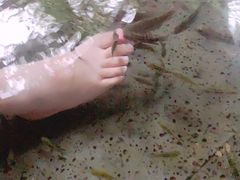 -唐风温泉