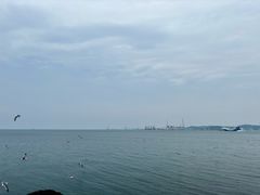 -悦海公园