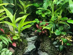 -扶摇湘宴·烤鸭·湘粤宴(中关村·北大店)