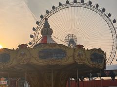 -海合安武汉极地海洋公园
