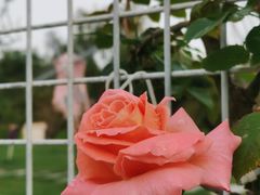 -太阳宫公园