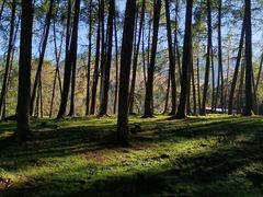 -硗碛藏寨·神木垒景区