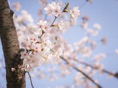 -龙美术馆(西岸馆)