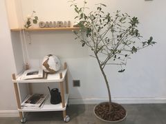 -Onirii Coffee(长乐路店)