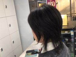 点击看大图 -镁连社·美联社