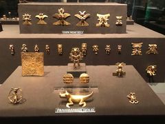 -美国自然历史博物馆