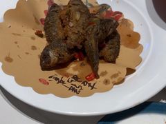 -天鹰观渔(梦园店)
