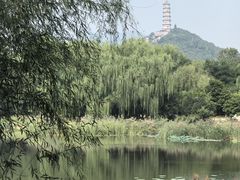 -北坞公园