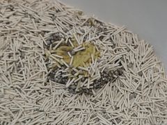 -科道动物医院·急重症中心(万达院)