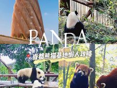 -成都大熊猫繁育研究基地