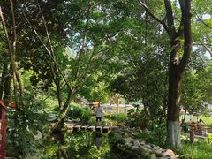 -成都市活水公园