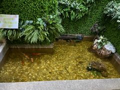 -松坂屋日料自助(长城路店)