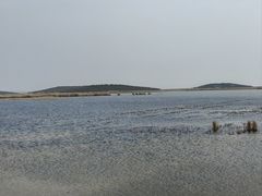 -南大港湿地风景区