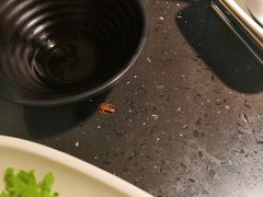 -锅说大脸毛肚重庆老火锅(佐阾店)