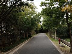 -广富林郊野公园