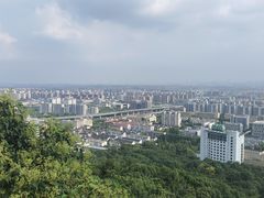 -杭州半山国家森林公园