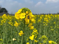 -中国天府农业博览园