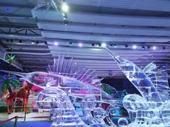 -宁波冰雪大世界(北仑区)