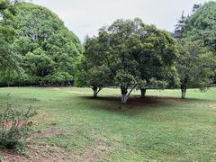 -生态园山庄(森林公园店)