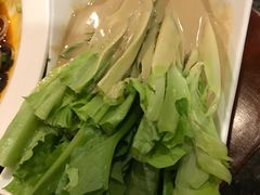 -钦善斋(武侯祠店)