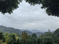 -凤栖山