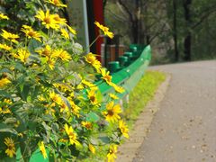 -玉渡山自然风景区