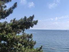 -养马岛旅游度假区