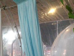 -大锅强·蒸海鲜青岛菜(吾悦广场店)