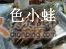 单面辣烤翅-西单翅酷(西单店)
