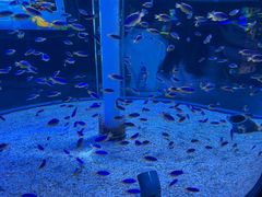 -海合安成都极地海洋公园