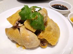 白斩鸡-贴阁碧(百丈东路店)