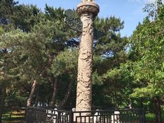 -北陵公园