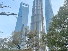 -陆家嘴中心绿地