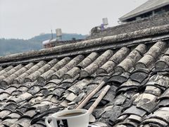 -YLK云南小粒咖啡·云里咖(二号店)