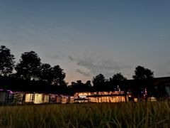-洪湖家庭农场·团建·露营·会议