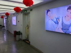 点击看大图 -大树儿童摄影