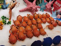 -芭菲盛宴·环球美食(锦城万达广场店)