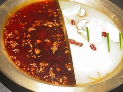 -九鼎轩脆毛肚火锅(南京东路店)