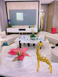 点击看大图 -上海漾颜医疗美容